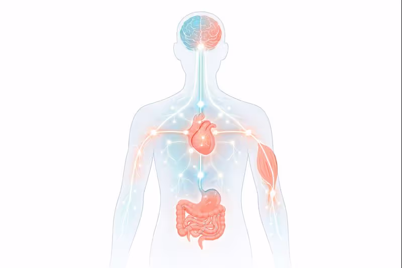 Mind-Body Connection Map