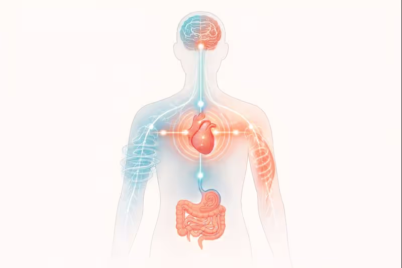 When Body Speaks Fear